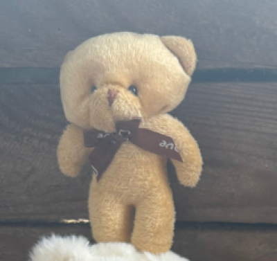 Mini Bear - Available in white. beige and brown