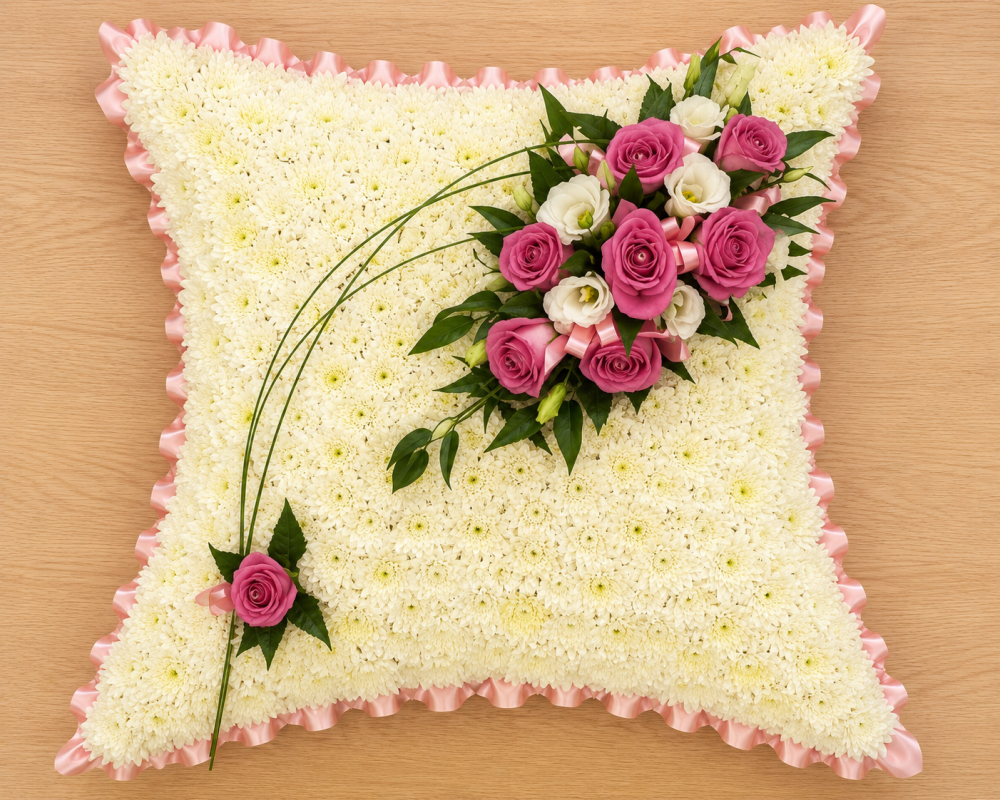 Cushion